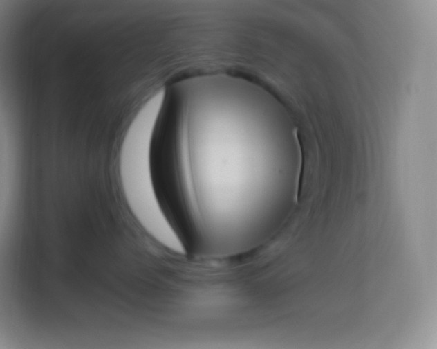 X0000113940768200910091622