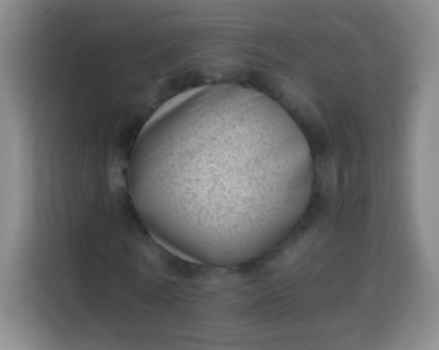 X0000113940770200910091622