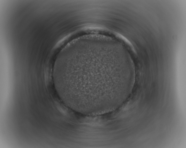 X0000113940775200910091622