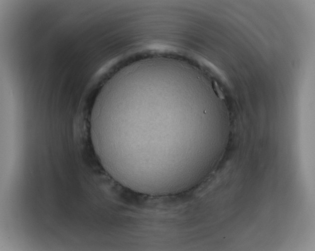 X0000113940776200910091622