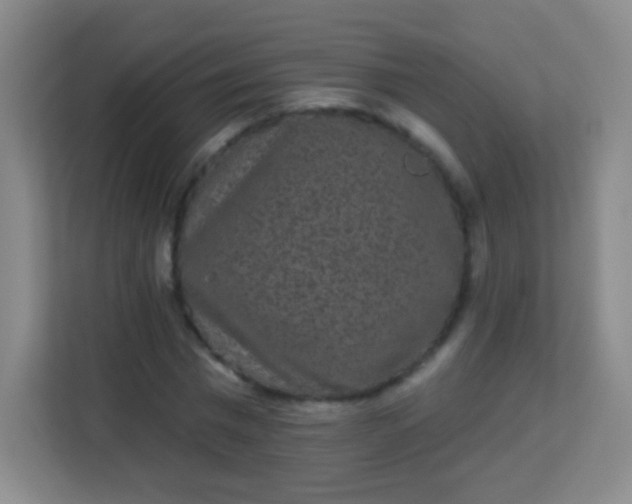 X0000113940777200910091622