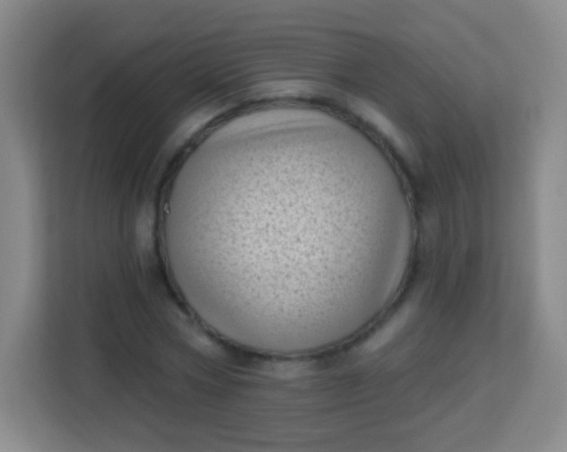 X0000113940778200910091622