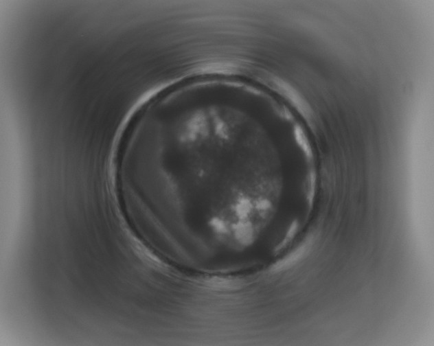 X0000113940779200910091622