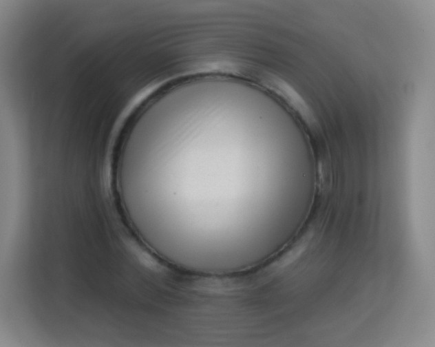 X0000113940780200910091622