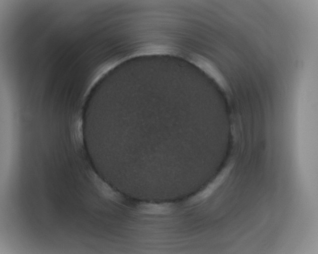 X0000113940781200910091622