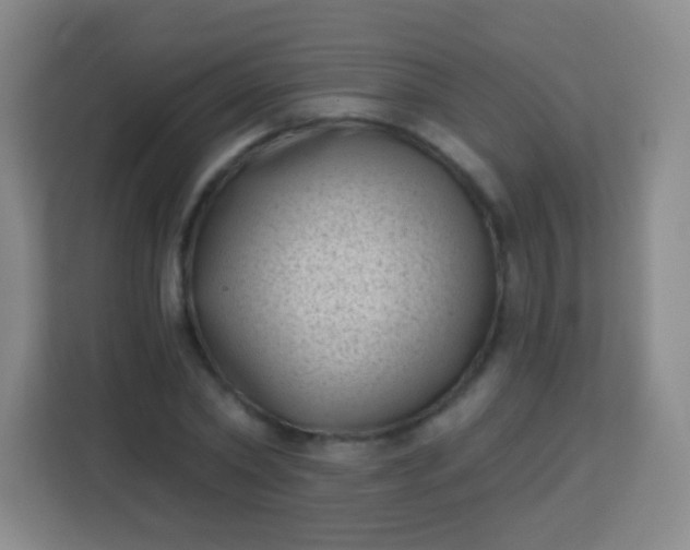 X0000113940782200910091622