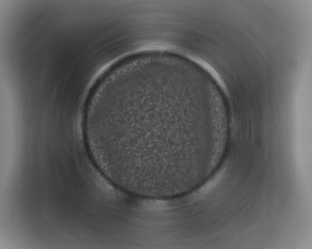 X0000113940783200910091622