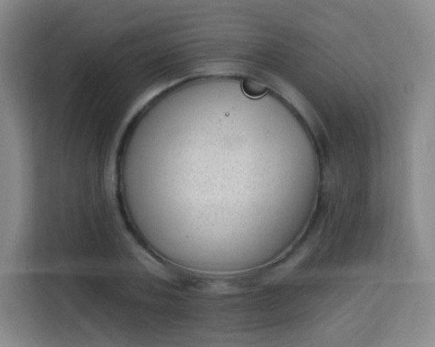 X0000113940787200910091622