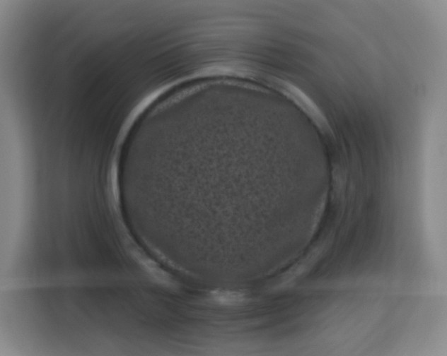 X0000113940788200910091622