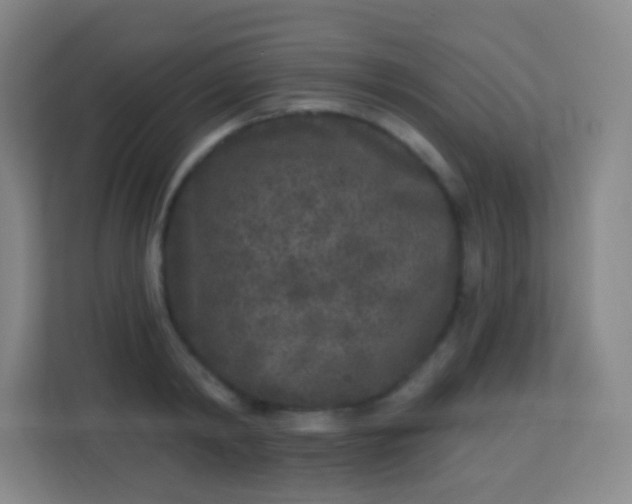 X0000113940798200910091621