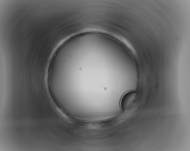 X0000113940799200910091621