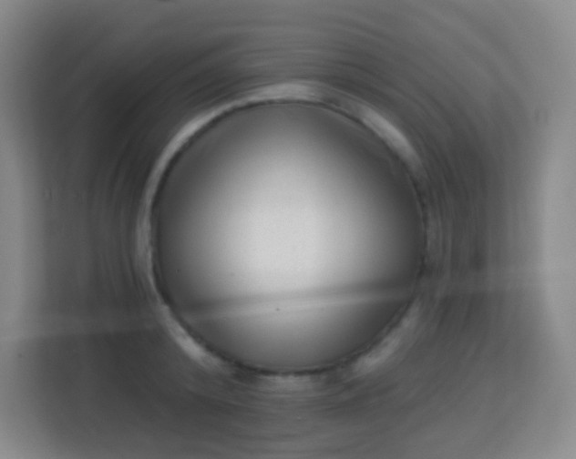 X0000113940800200910091621