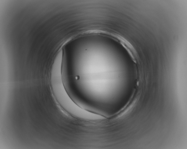 X0000113940801200910091621