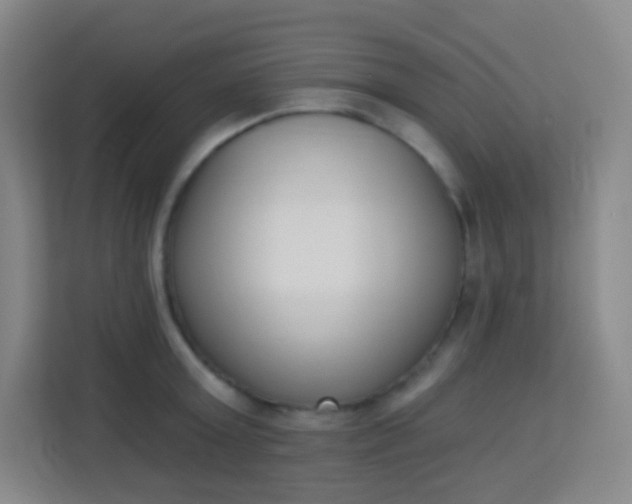 X0000113940803200910091621