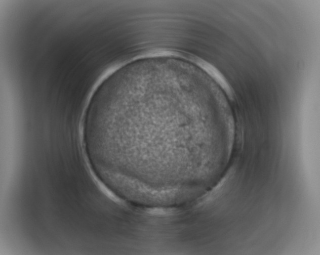 X0000113940805200910091621