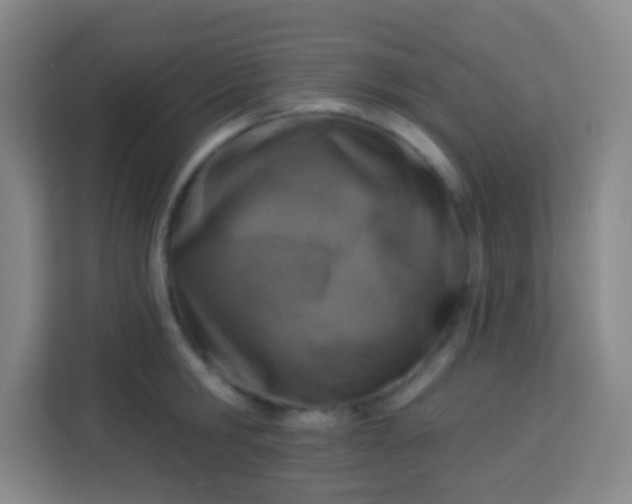 X0000113940806200910091621