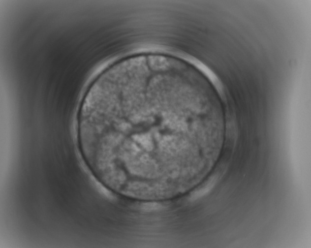 X0000113940807200910091621