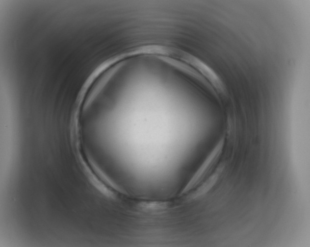 X0000113940808200910091621