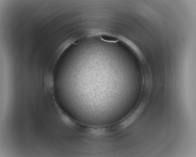 X0000113940809200910091621