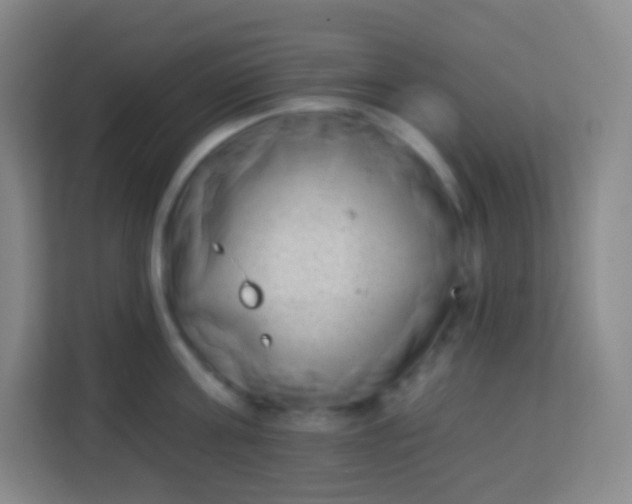 X0000113940811200910091621