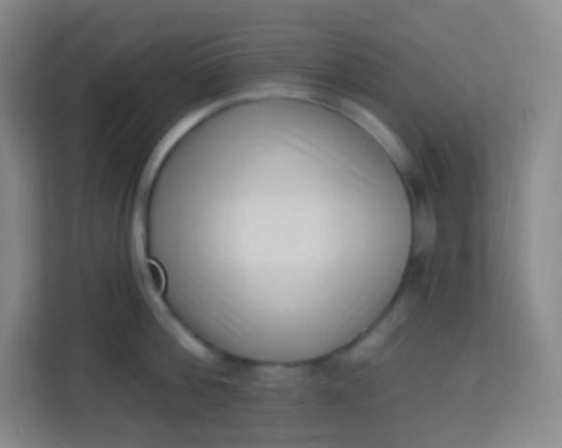 X0000113940812200910091621