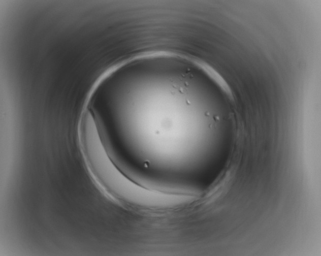 X0000113940813200910091621