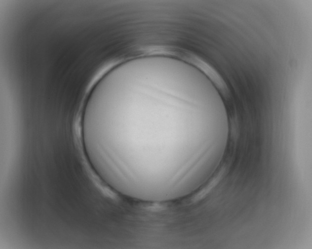 X0000113940814200910091621