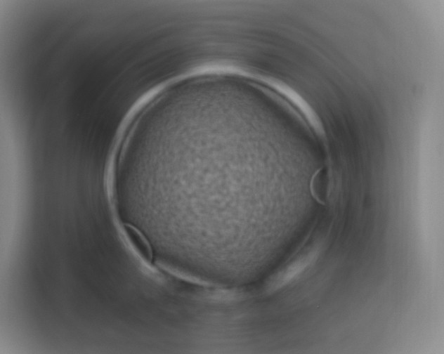 X0000113940815200910091621