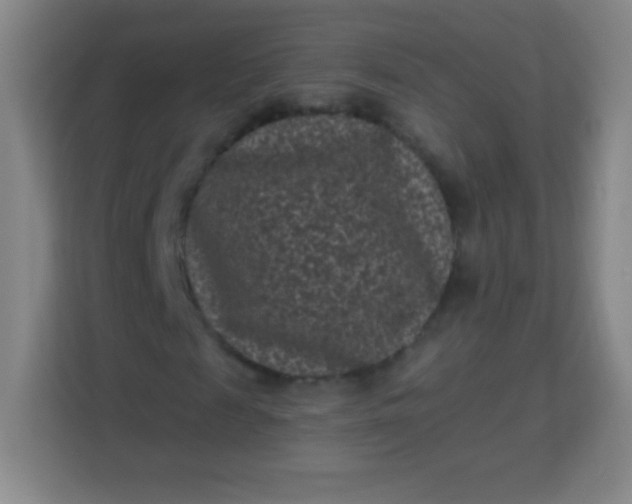 X0000113940817200910091621