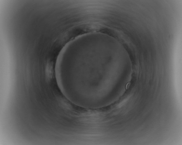 X0000113940818200910091621