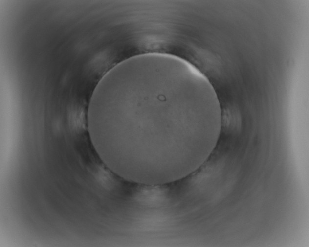 X0000113940820200910091621