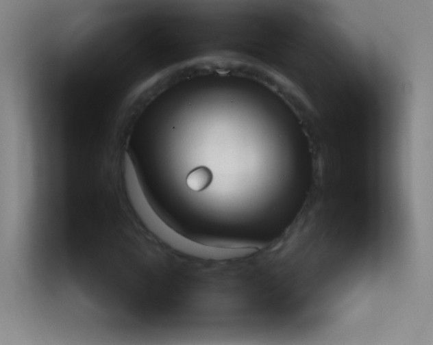 X0000113940822200910091621