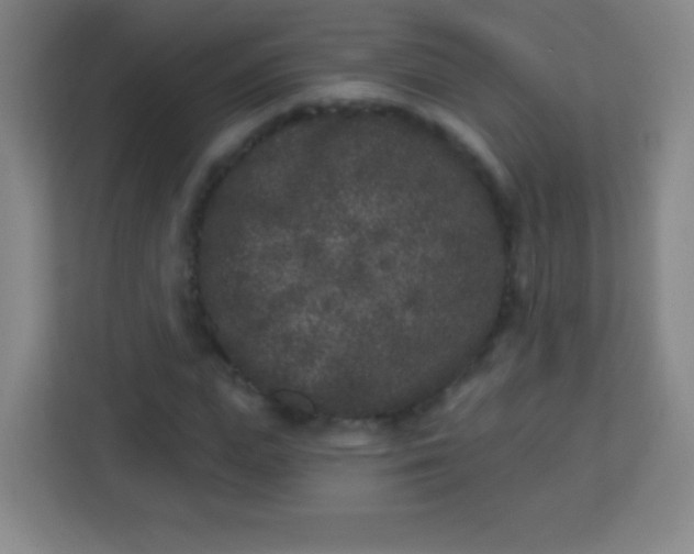 X0000113940823200910091621