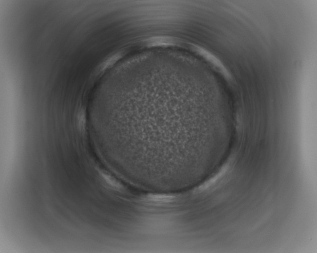 X0000113940825200910091621