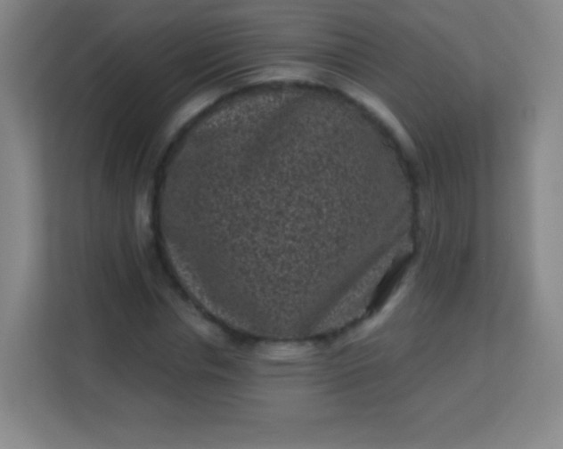 X0000113940826200910091621