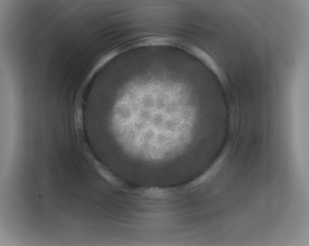 X0000113940827200910091621