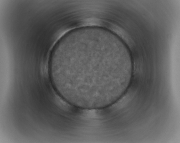 X0000113940828200910091621