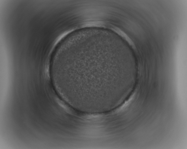 X0000113940830200910091621