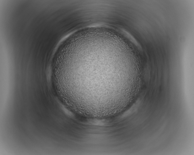 X0000113940831200910091621