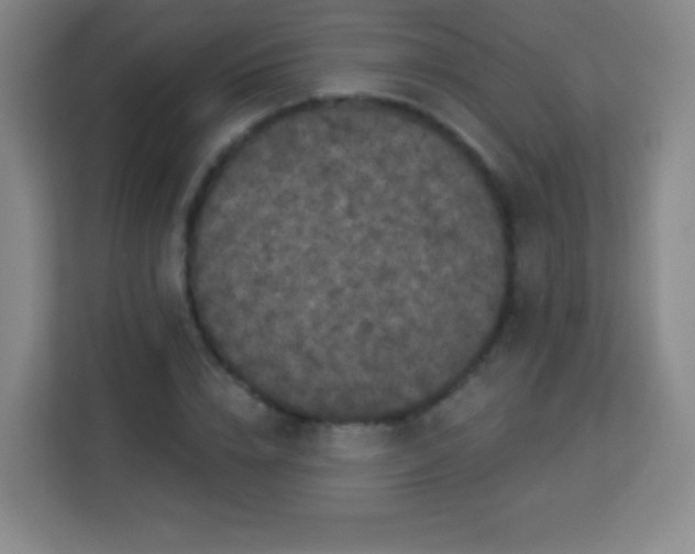 X0000113940832200910091621