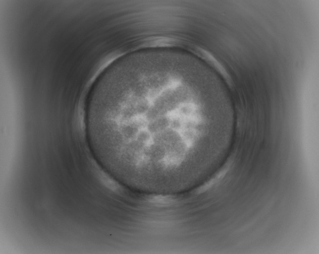 X0000113940835200910091621