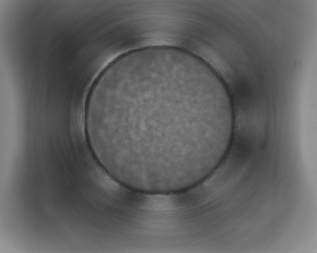 X0000113940836200910091621