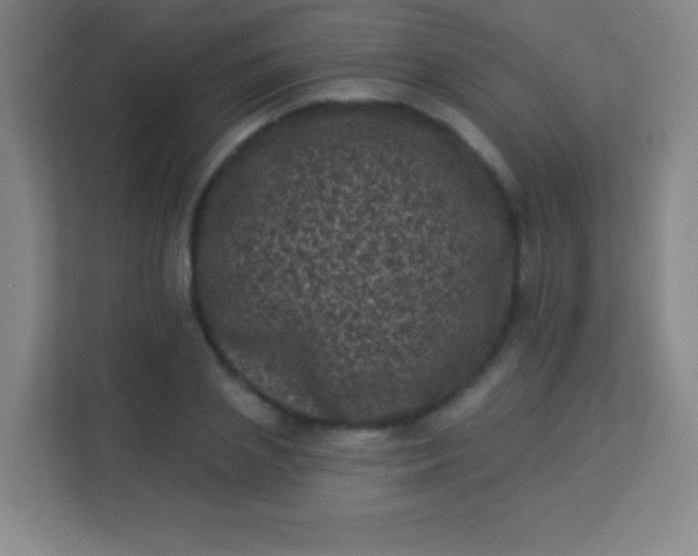 X0000113940837200910091621