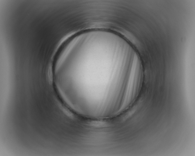 X0000113940838200910091621