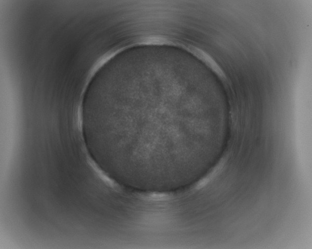 X0000113940839200910091621