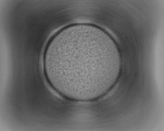 X0000113940840200910091621