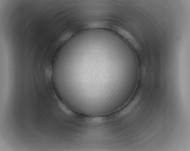 X0000113940841200910091621