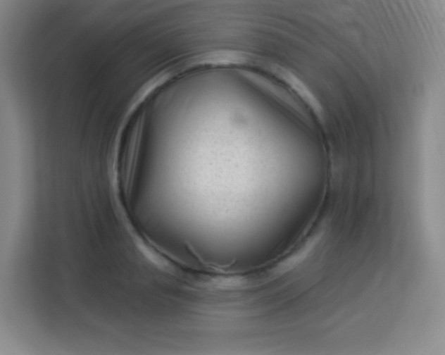 X0000113940845200910091621