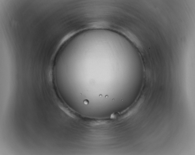 X0000113940846200910091621