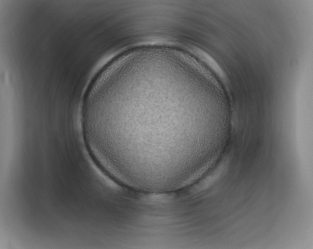 X0000113940847200910091621